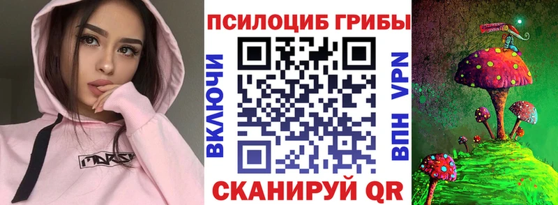 Псилоцибиновые грибы ЛСД  МЕГА зеркало  Сясьстрой 